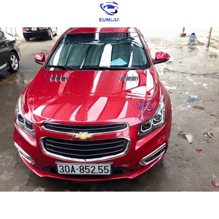 Bộ 2 mang cá loại lớn trang trí 2 bên ô tô