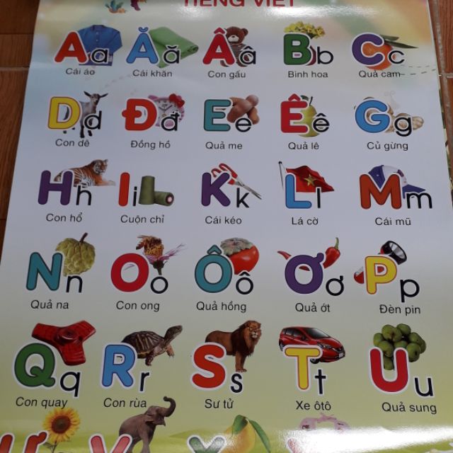 Bộ tranh 12 chủ đề cho bé