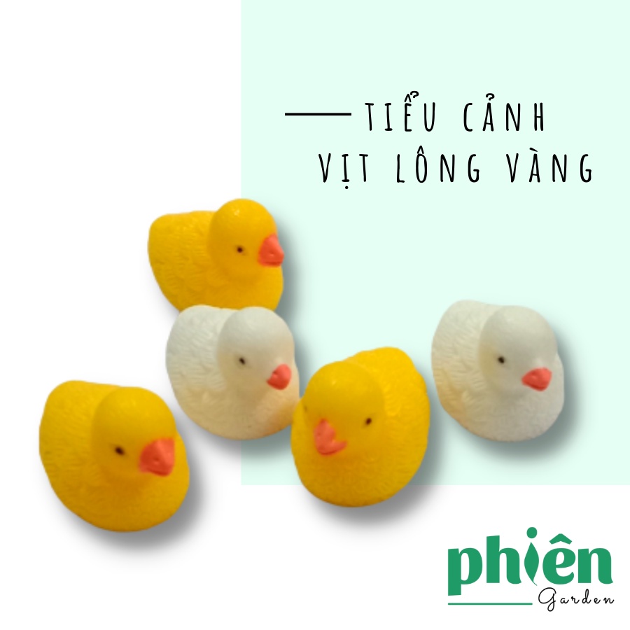 Tiểu cảnh Vịt Lông Vàng trang trí sen đá, terrarium, Phụ kiện Tiểu cảnh mini