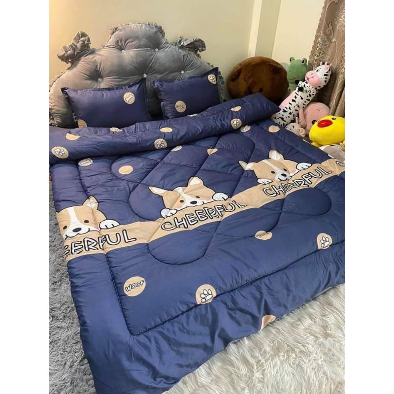 Bộ 5 món ga gối chăn phao cotton boly cao cấp