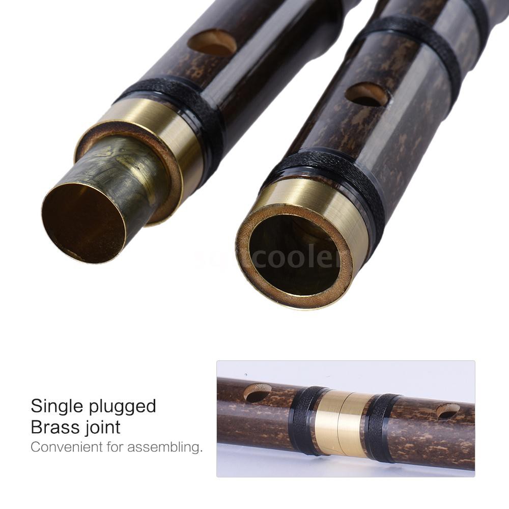 SQC Pluggable Handmade Bitter Bamboo Flute/Dizi Traditional Chinese Musical Woodwind Instrument in F Key for Beginner St