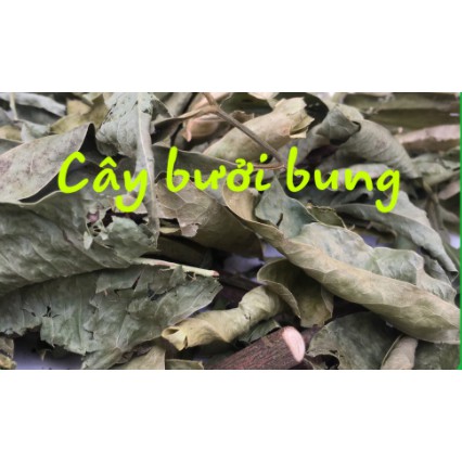 500gr Cây bưởi bung hàng loại 1 thơm ngon