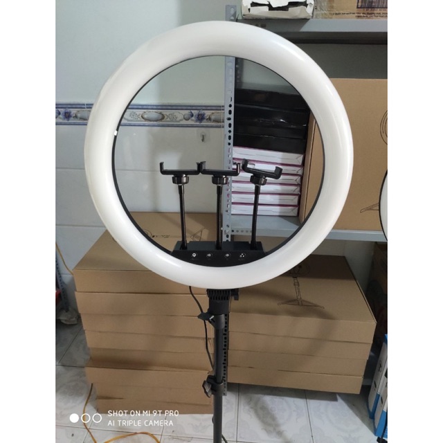 ĐÈN LIVE STRYM M45 + 1 bộ chân