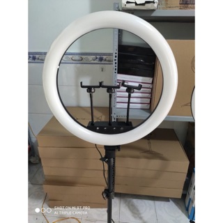 ĐÈN LIVE STRYM M45 + 1 bộ chân