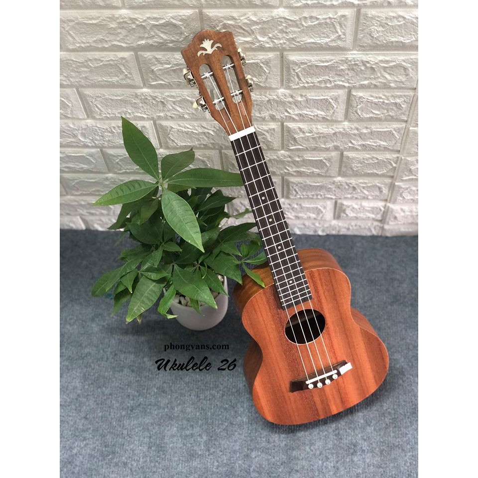Đàn ukulele gỗ 26 đẹp giá rẻ