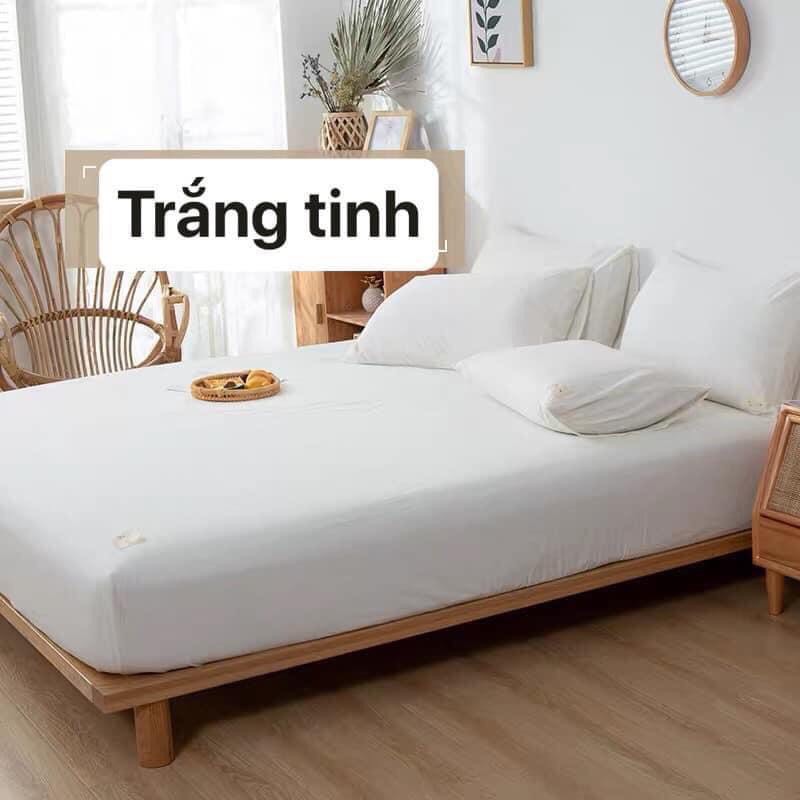 SET GA GỐI COTTON TICI NHIỀU MÀU