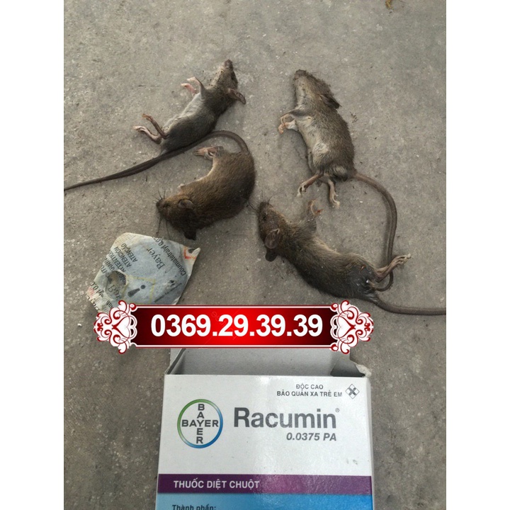 Thuốc diệt chuột thông minh Racumin Bayer