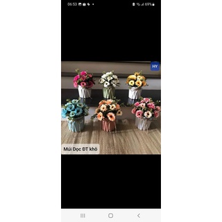 chậu hoa mini để bàn