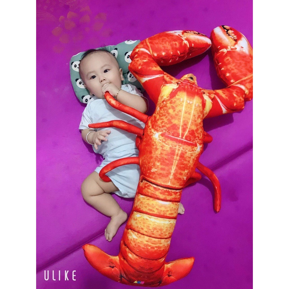 Gối Ôm Con Cua 3D, Ghẹ 3D, Tôm 3D Size 1m Gấu Bông Em Bé