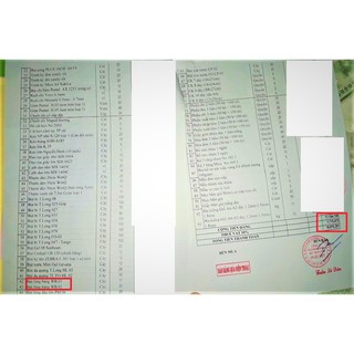 Sét 10 Bút lông bảng WB-02