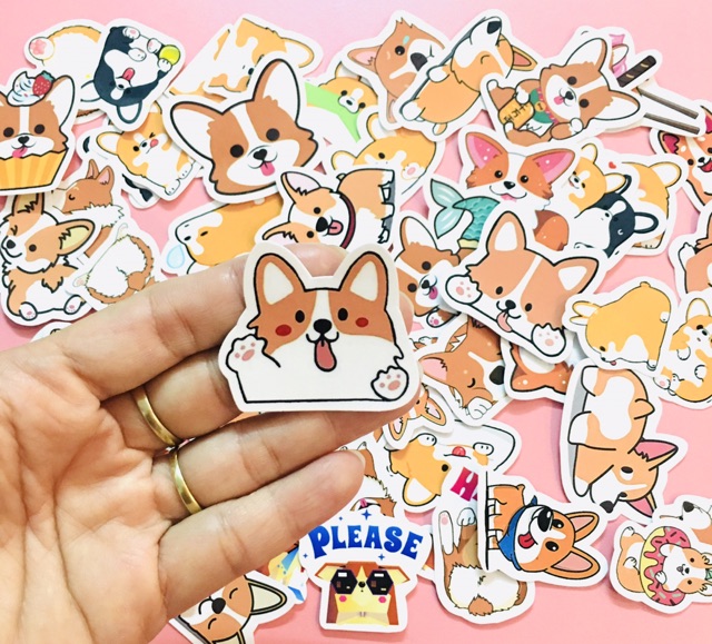 Sét 30-50 Sticker chó corgi lép lụa có đề can bóc dán