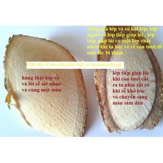 Cây xáo tam phân