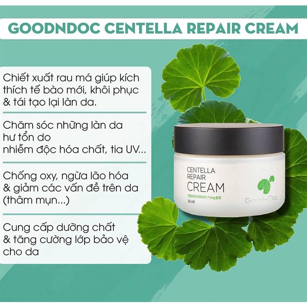 Kem Rau Má Goodndoc Centella Repair Cream Dưỡng Ẩm Phục Hồi Da 50ml Chính Hãng