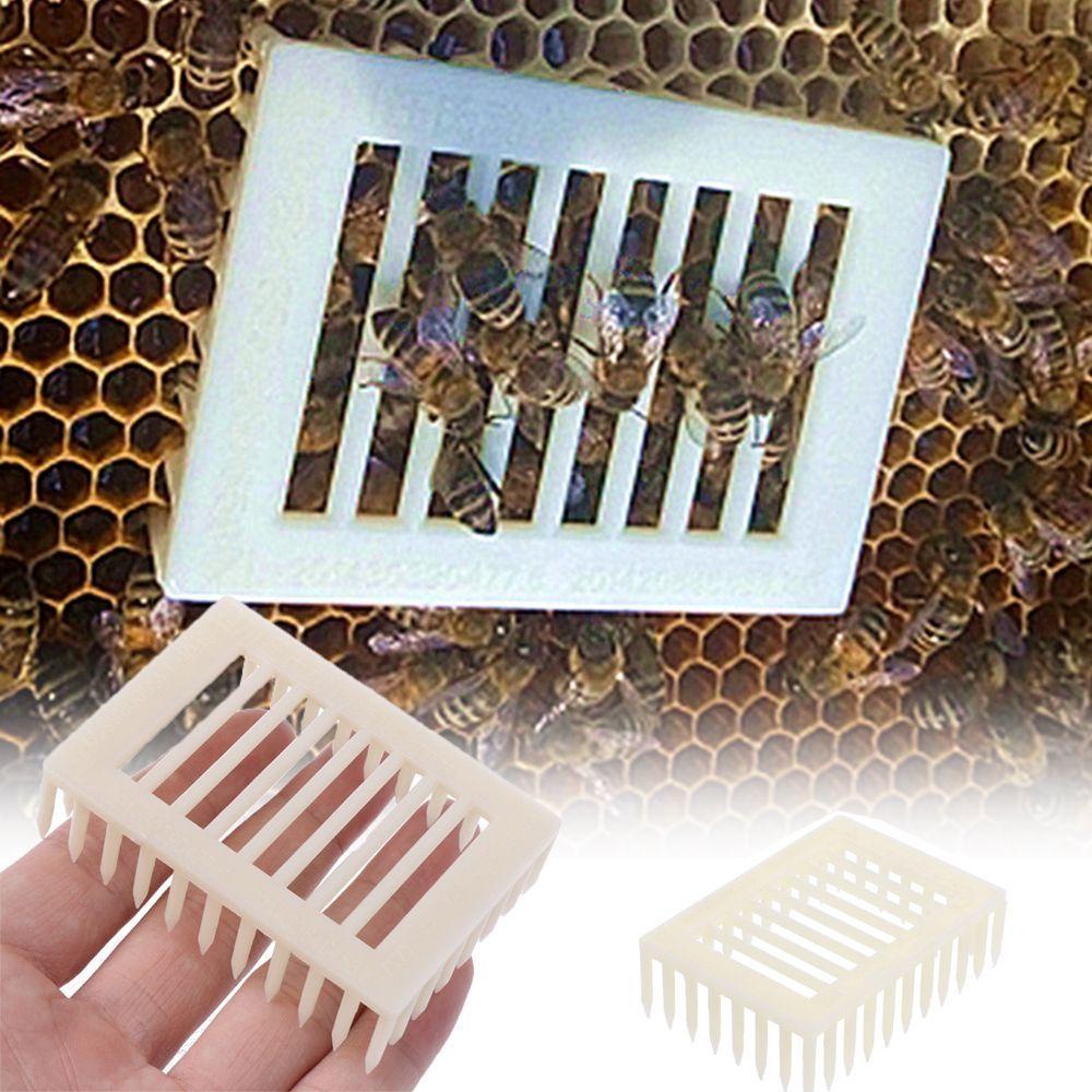 Kẹp Lồng Nuôi Ong Chúa Thiết Thực Tiện Lợi