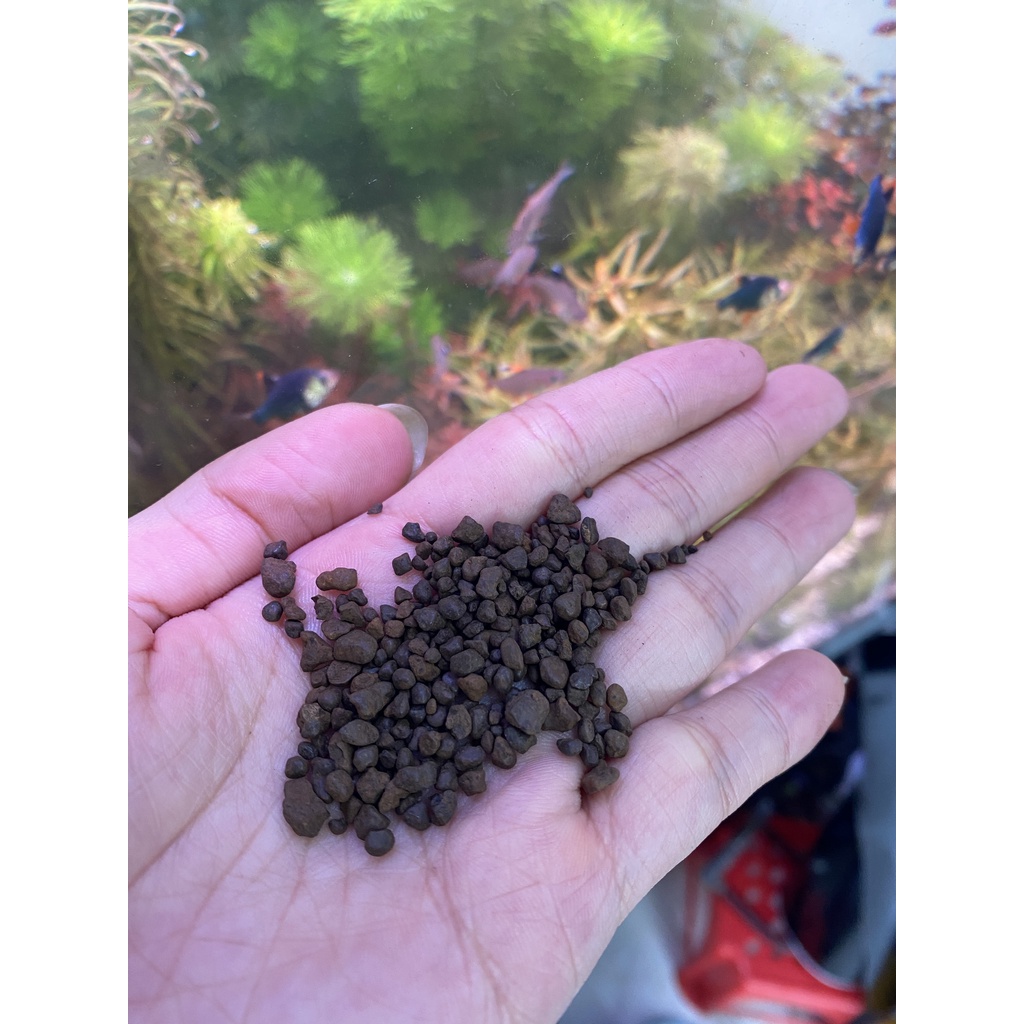 Sạn Suối Nâu Trải Nền
