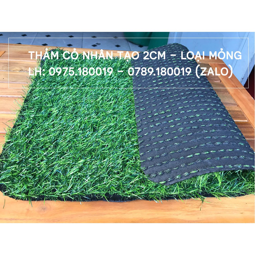 Thảm cỏ nhân tạo 2cm | Cỏ nhân tạo SG