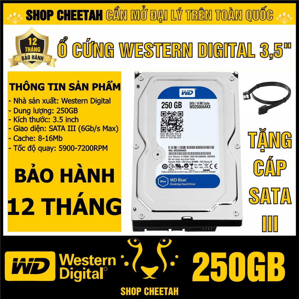 Ổ cứng 250GB Western Digital HDD 3.5” - Chính Hãng – Bảo hành 12 tháng – Tháo máy đồng bộ mới 99% - HDD WD xanh