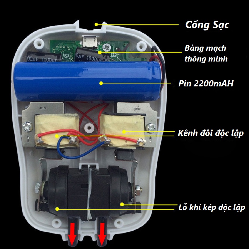 Sục Oxy Thùng Đựng Cá Sống,Bể Cá Giá Rẻ Tích Điện [ TIỆN LỢI ] DC900 -  Sanami Fishing