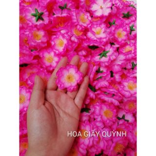 1 lạng hoa mai/ đào
