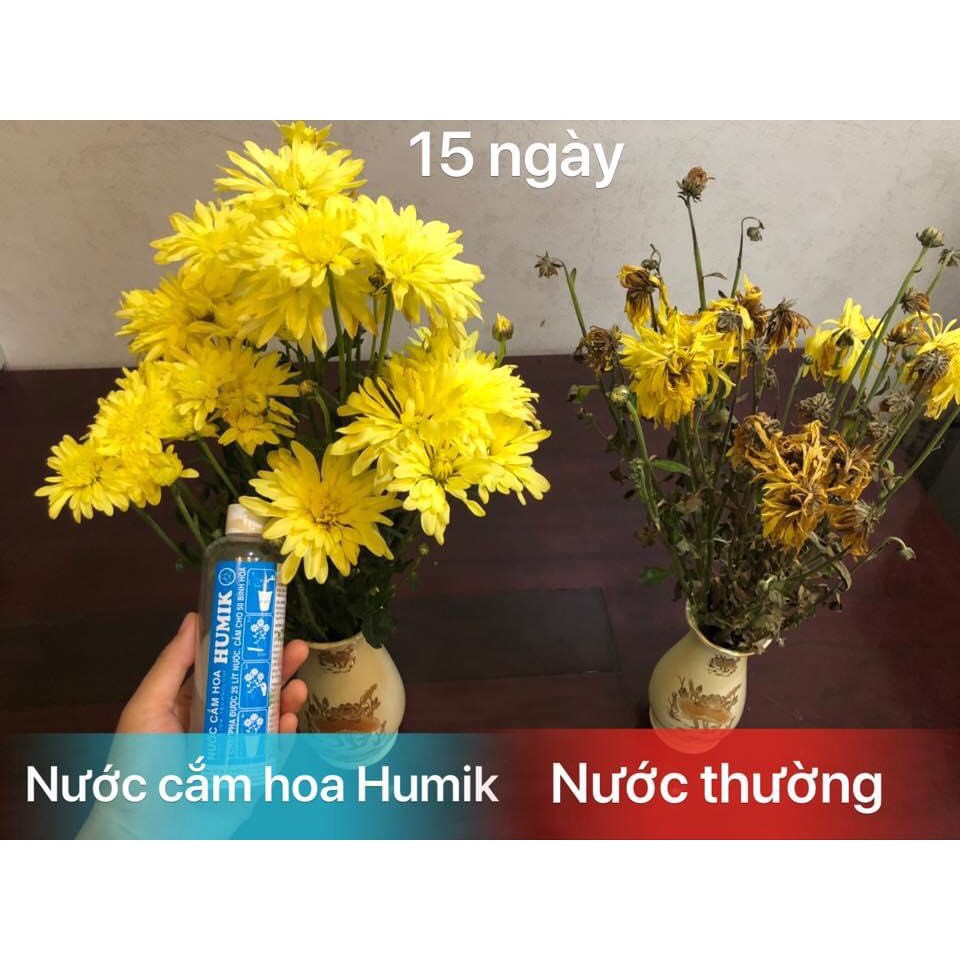 Nước cắm hoa Humik -chai 900ml