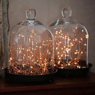 Dây Đèn Trang Trí Led cước 10met Điện 220V trang trí giáng sinh, sinh nhật. Fairy light