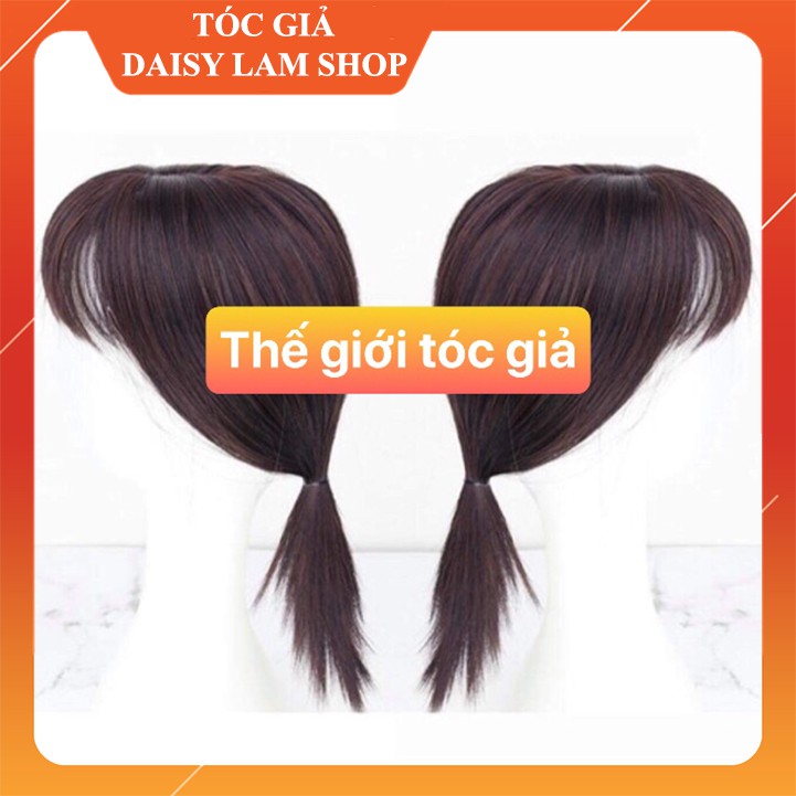 Hình thật Tóc giả che hói/ bạc tóc 25cm DLH _002