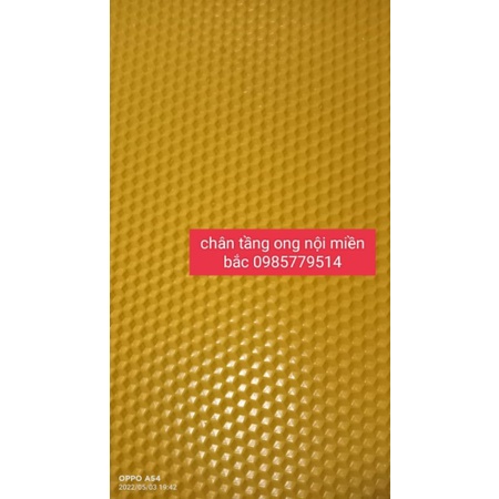 10 tấm Chân tầng ong nội cầu 42