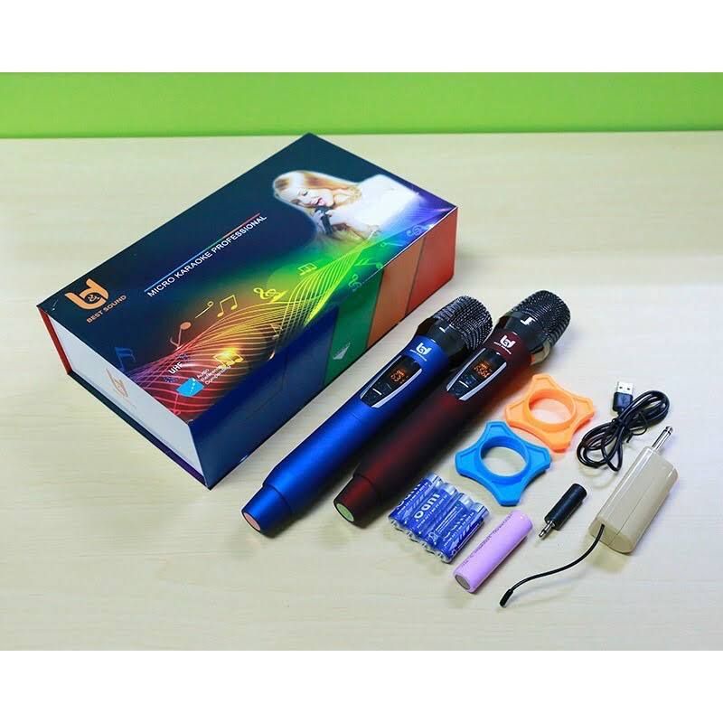 Micro không dây cao cấp Best Sound W301 2 Micro kim loại