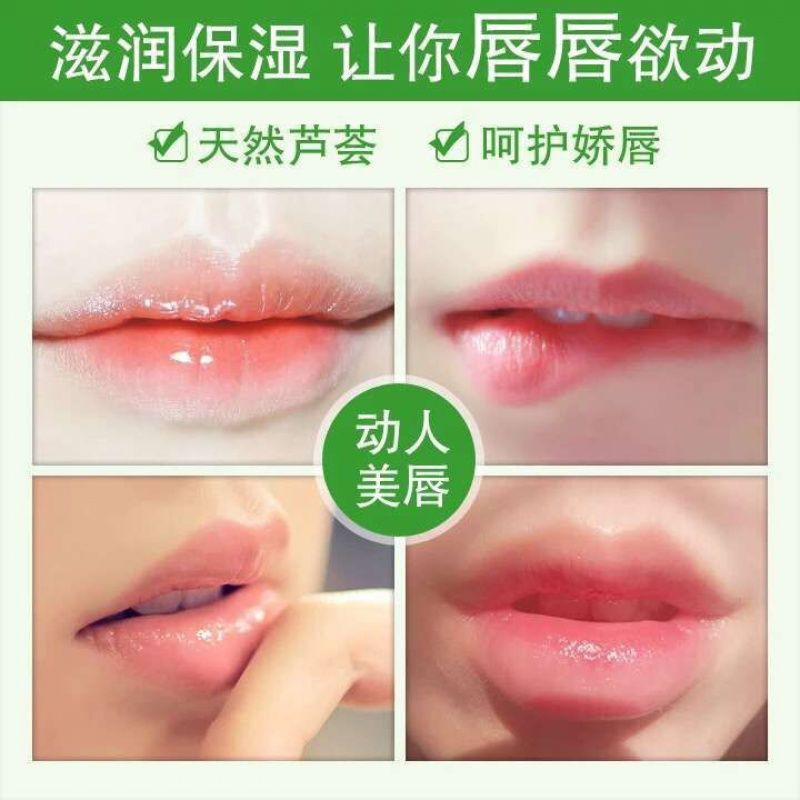 (hàng Mới Về) Son Dưỡng Môi Chiết Xuất Lô Hội Dưỡng Ẩm Chống Nứt Nẻ Môi | BigBuy360 - bigbuy360.vn