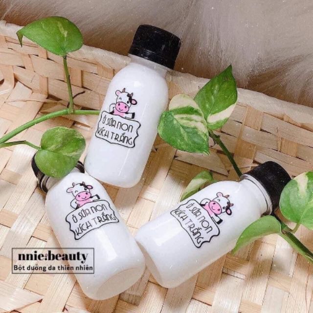 Ủ Sữa Non Bò Sữa