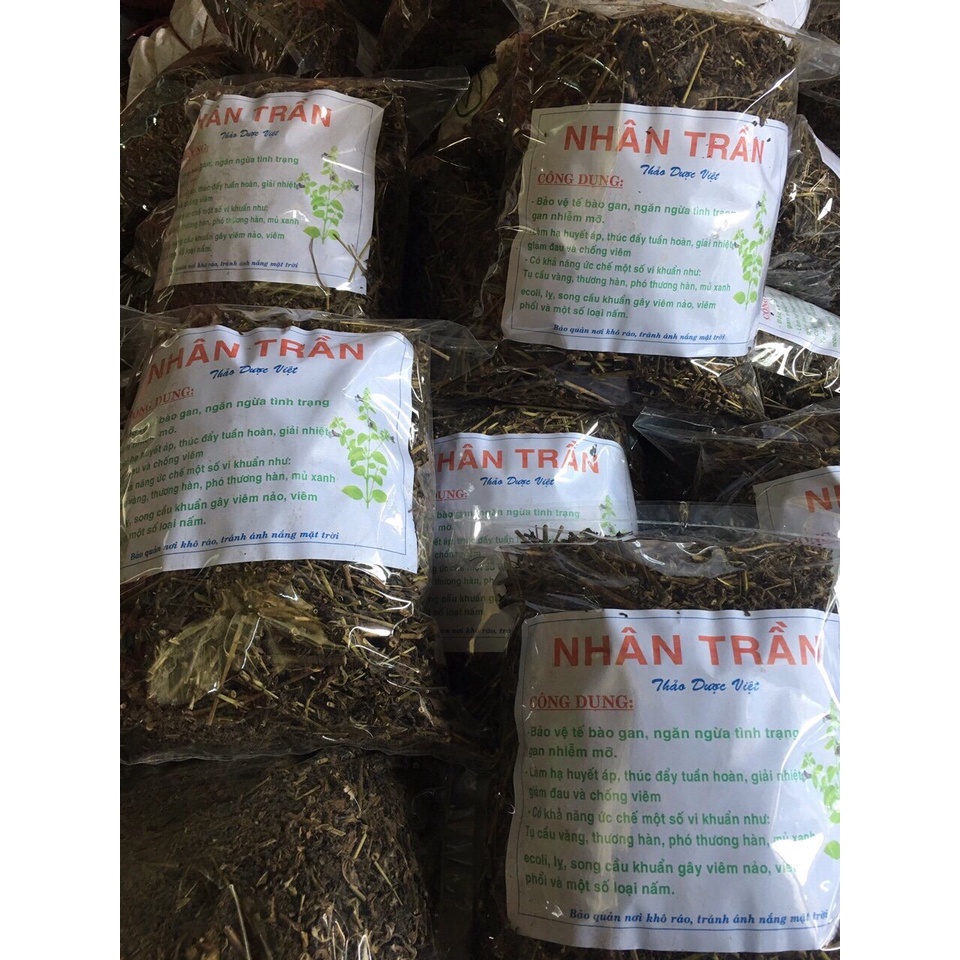 Nhân Trần Khô Thanh Nhiệt, Giải Độc, Mát Gan Hàng Chuẩn Loại 1 | BigBuy360 - bigbuy360.vn