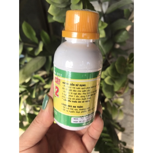 Vitamin B12 - Chế phẩm Giải độc cho cây