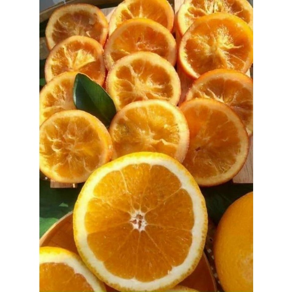 Cam lát sấy dẻo ⚠️Lẻ = Sỉ ⚠️[FREE SHIP]TỪ ĐƠN 50K, [Loại Đặc Biệt] Hàng ngon nhà làm