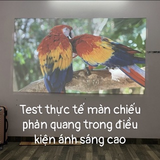Màn chiếu tương phản cao hỗ trợ máy chiếu