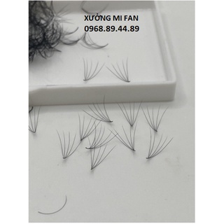 mi fan 5D độ dày 0.07 hộp 500 fan dụng cụ nối mi