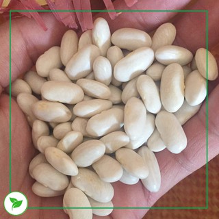 Đậu Trắng - 500g (Hạt To & Hạt Nhỏ)
