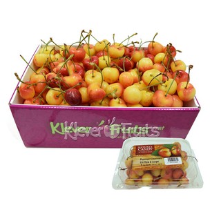 Cây Giống Chery Vàng New ZeaLand... 5 tháng cho trái