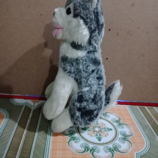 Gấu bông khách ngọc