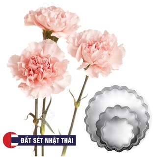 KHUÔN HOA CẨM CHƯỚNG TRÒN HỌC LÀM HOA ĐẤT SÉT, HOA ĐƯỜNG, XÔI HOA ĐẬU, HOA BÁNH KEM, RAU CÂU