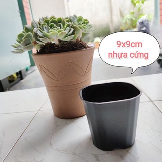 100 chậu nhựa vuông 9x9
