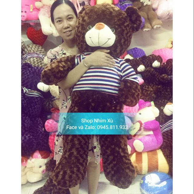 Gấu Teddy 1m2