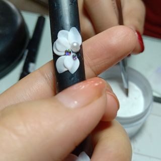 Combo 50b hoa bột nail