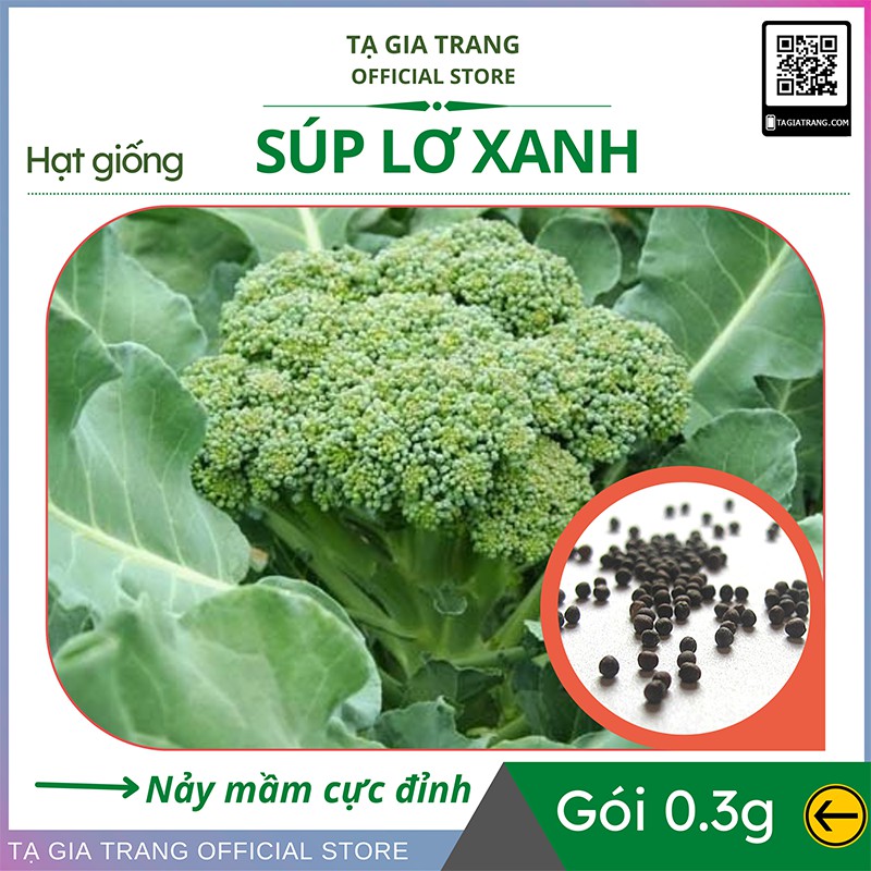 Hạt giống súp lơ xanh (bông cải xanh) - Gói 0.1gr