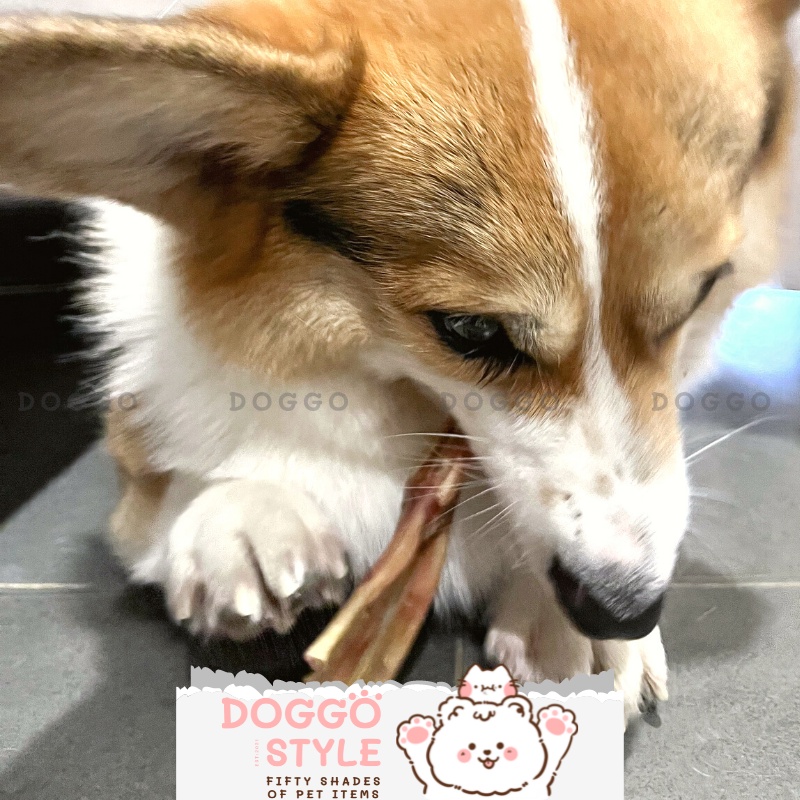Treat Bánh Thưởng Cho Chó Chân Vịt Sấy Khô DOGGO Homemade Không Chất Bảo Quản 100G Thức Ăn Cho Chó Thú Cưng