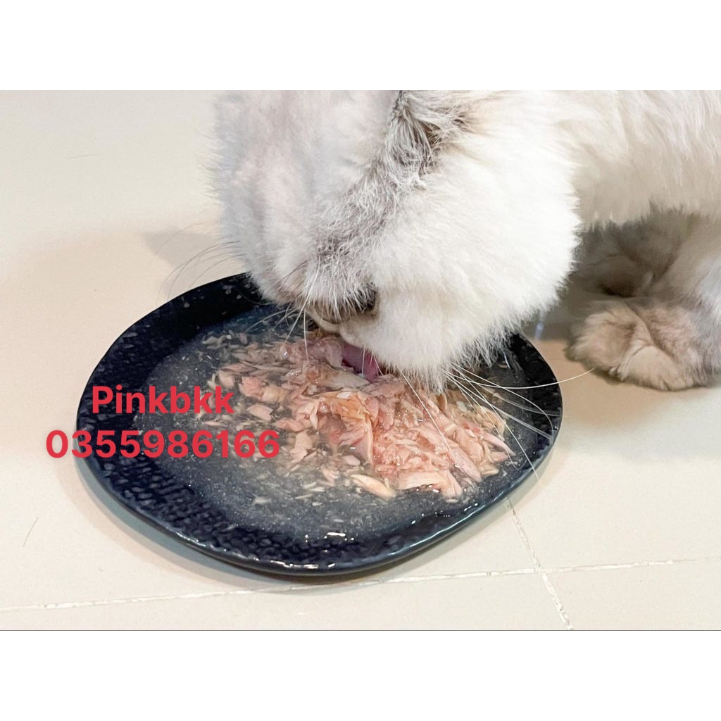 Pate mèo Regalos lon 80g⚡ Nội Địa Thái Lan⚡ NHẬP TRỰC TIẾP THÁI LAN.