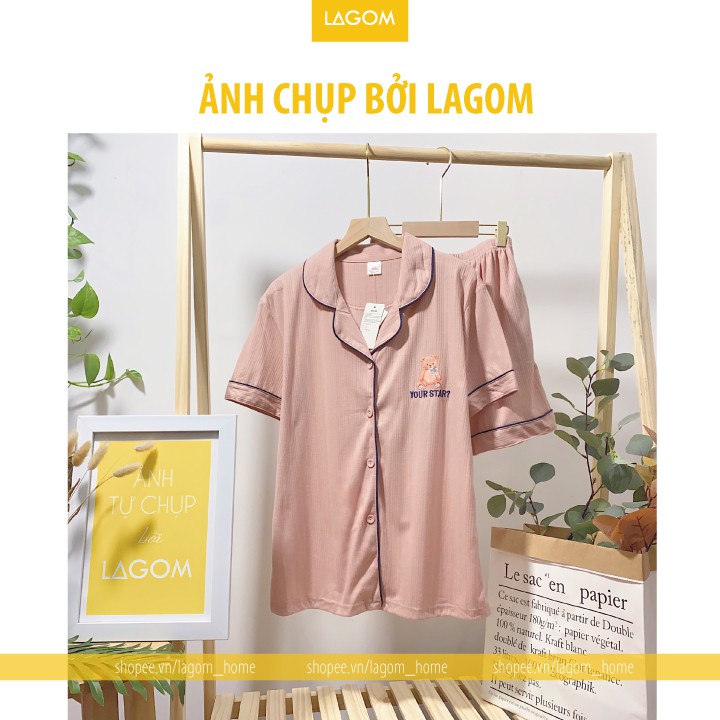 [50 MẪU] Đồ Bộ Pijama Nữ Cotton Tay Ngắn Quần Đùi - Chất Đẹp, Mềm Mát