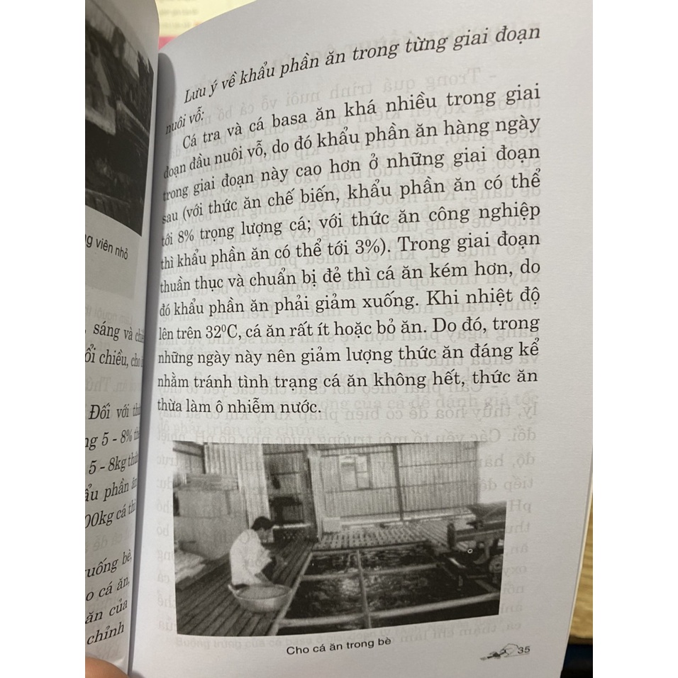 Sách - Kỹ thuật nuôi cá tra và cá basa trong bè