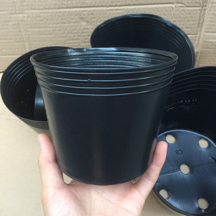 Bộ 100 Chậu trồng Hoa, Cây cảnh C7