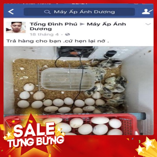 Máy ấp trứng Ánh Dương P100 ấp trứng gà, vịt, cút nở đạt 95% - Bảo hành 1 năm