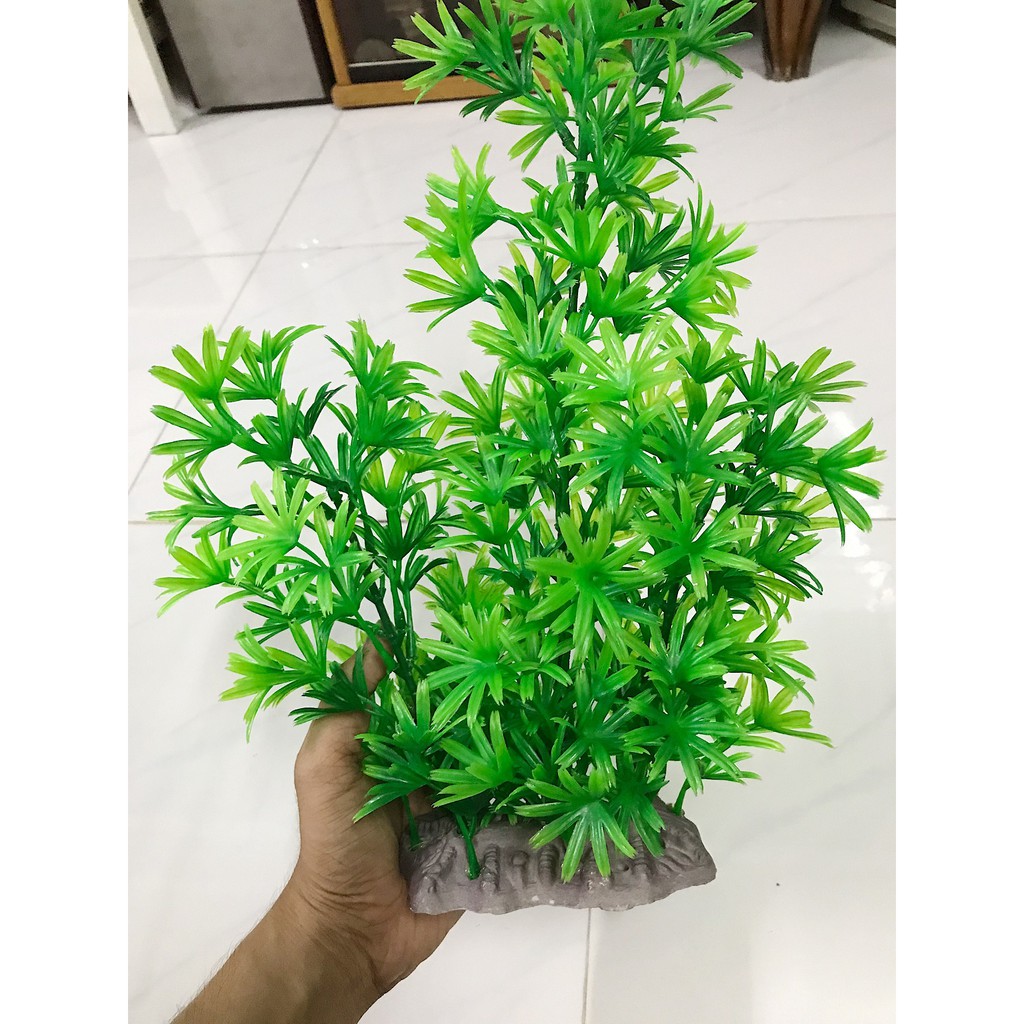 RONG GIẢ TRANG TRÍ HỒ CÁ NON BỘ CAO 38CM